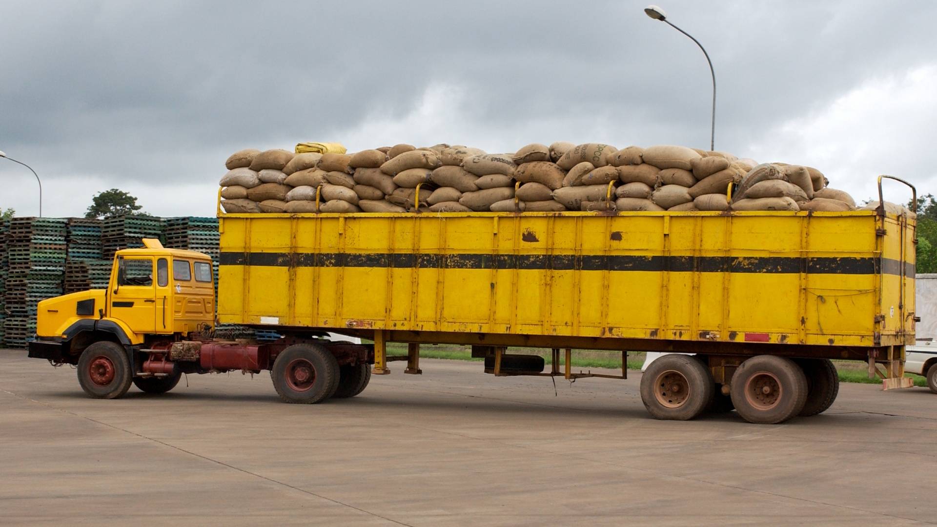 Cocoa sustainable farming and harvest Transport UTZ